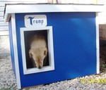 Tramp - Winnipeg, Canada